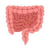 Intestinal obstruction and appendicitis