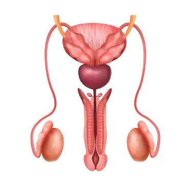 urology– SeCURE Hospitals