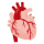 Cardiology icon